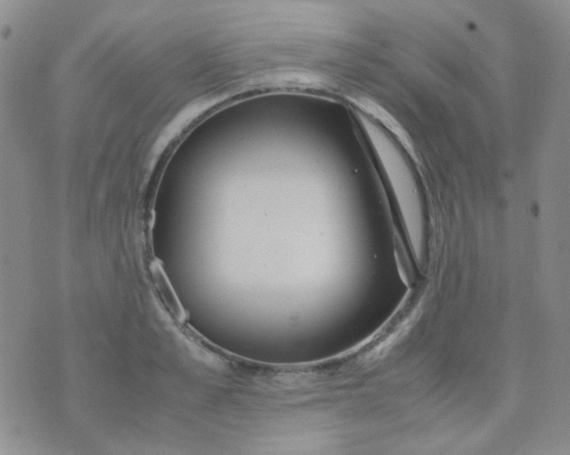 X0000070430989200606231913