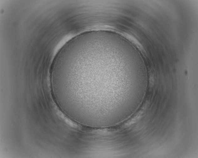 X0000070430990200606231913