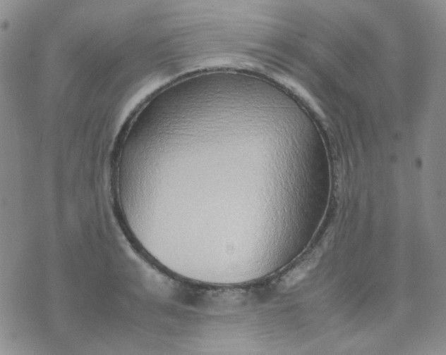 X0000070430991200606231913