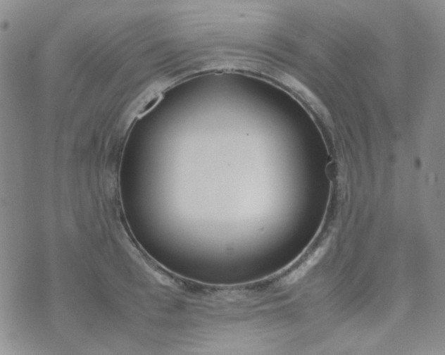 X0000070430993200606231913