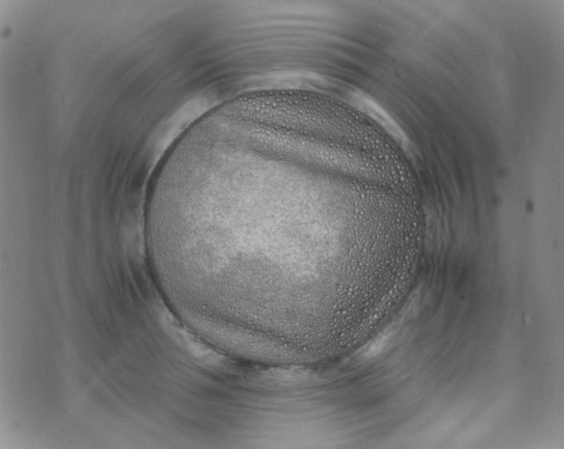 X0000070430994200606231913