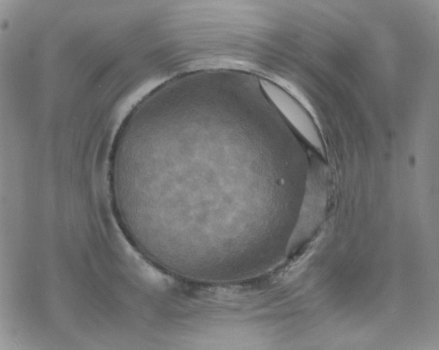 X0000070430995200606231913