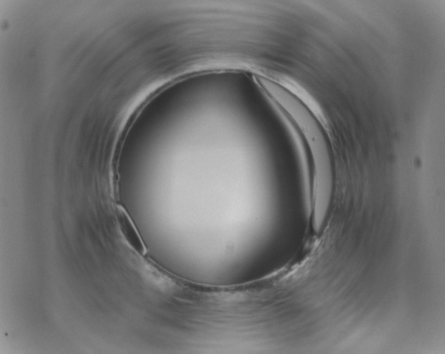 X0000070430996200606231913