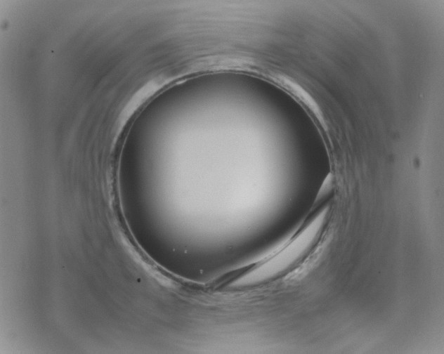 X0000070430997200606231913