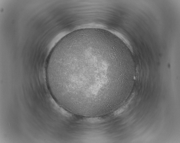 X0000070430998200606231913