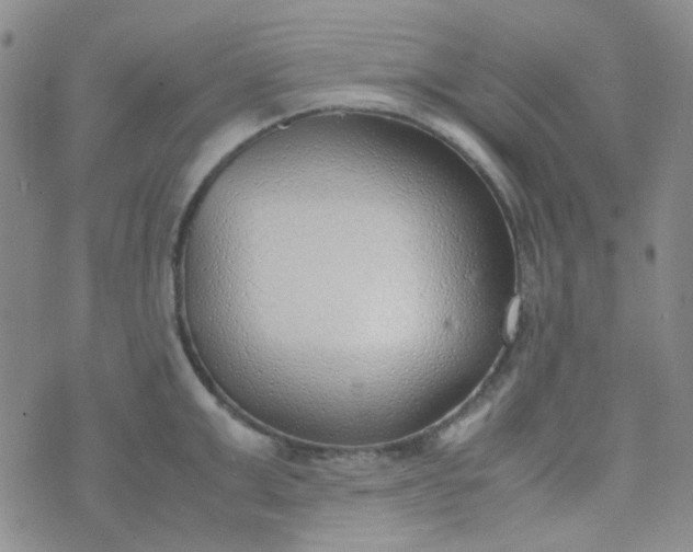 X0000070430999200606231913