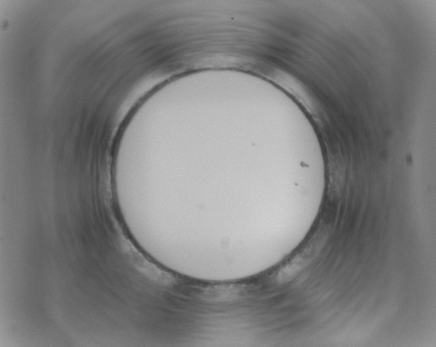 X0000070431000200606231913