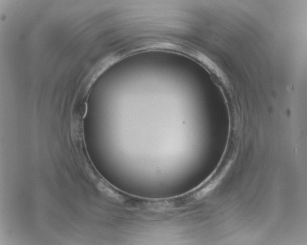 X0000070431001200606231913