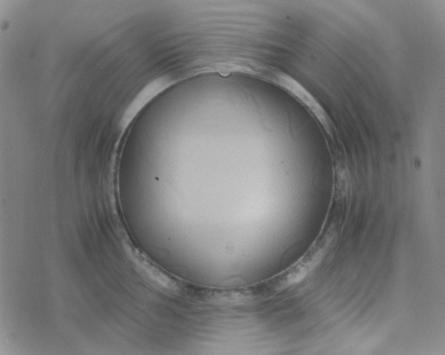 X0000070431002200606231913