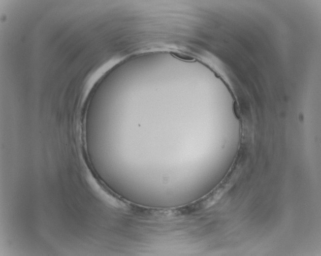 X0000070431003200606231913