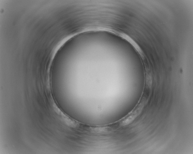 X0000070431004200606231913