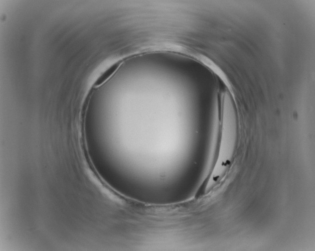 X0000070431005200606231913