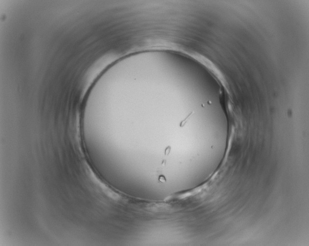 X0000070431006200606231913