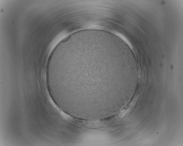 X0000070431007200606231913