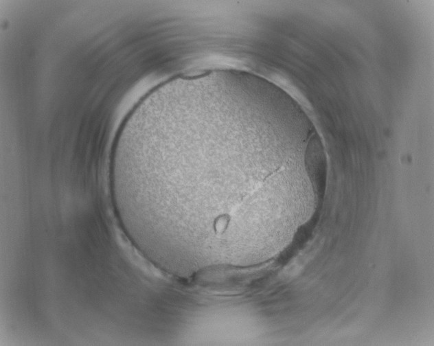 X0000070431008200606231913