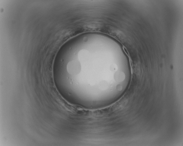 X0000070431009200606231912