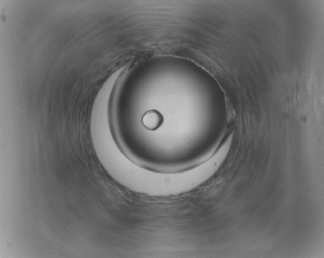 X0000070431010200606231912