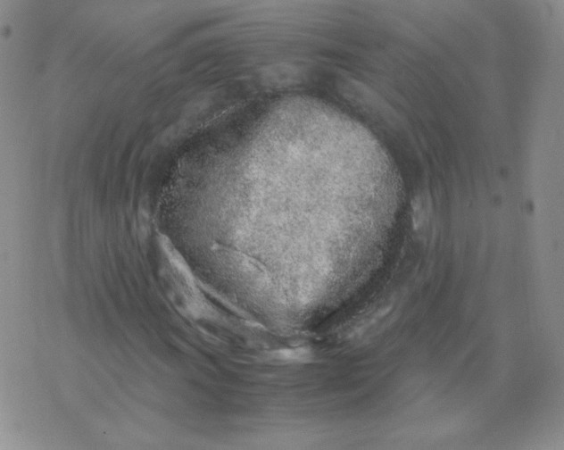 X0000070431011200606231912