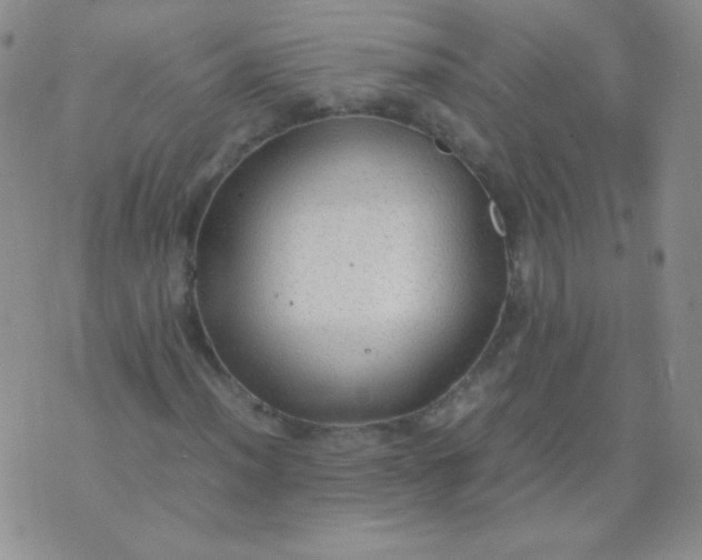 X0000070431012200606231912