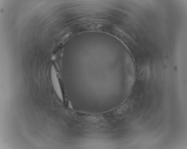 X0000070431013200606231912