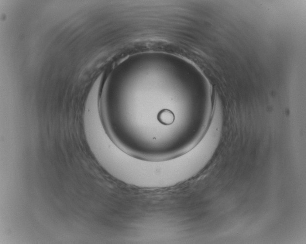 X0000070431014200606231912