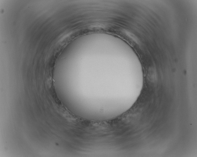 X0000070431015200606231912