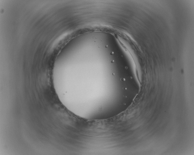 X0000070431016200606231912