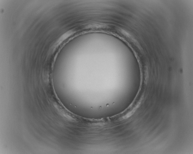 X0000070431017200606231912