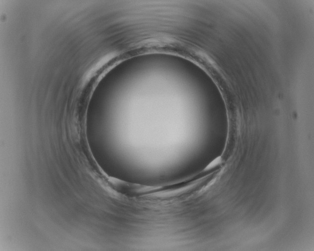 X0000070431018200606231912