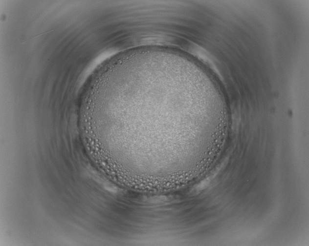 X0000070431019200606231912