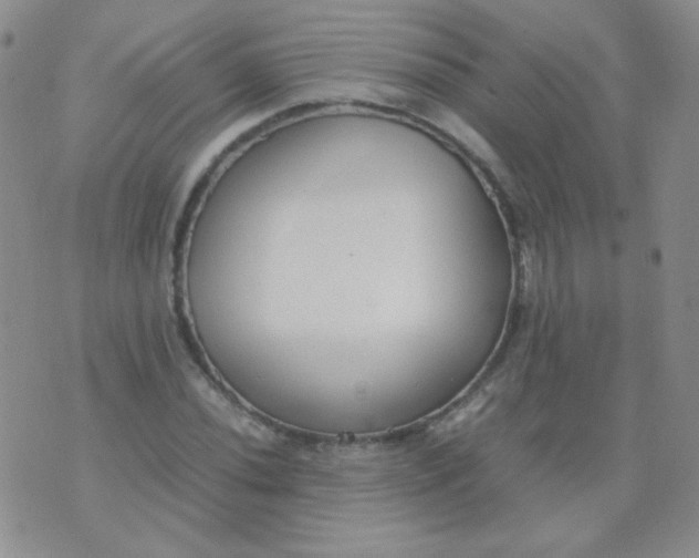 X0000070431020200606231912