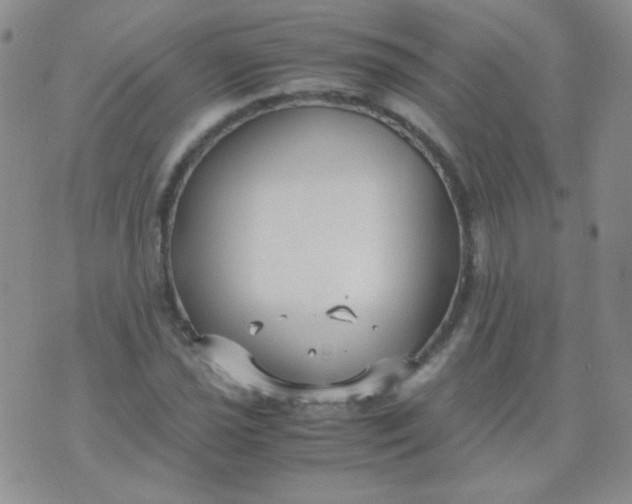 X0000070431021200606231912