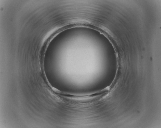 X0000070431022200606231913