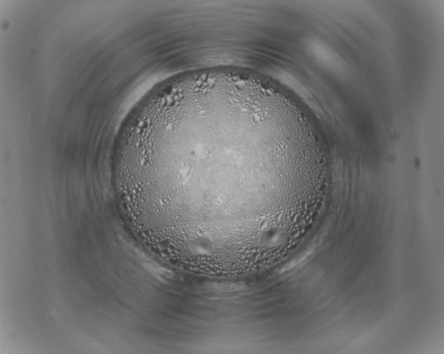 X0000070431023200606231913