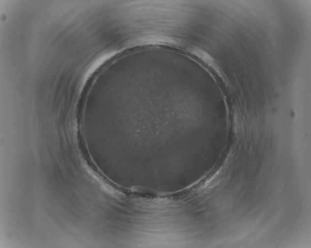 X0000070431024200606231913