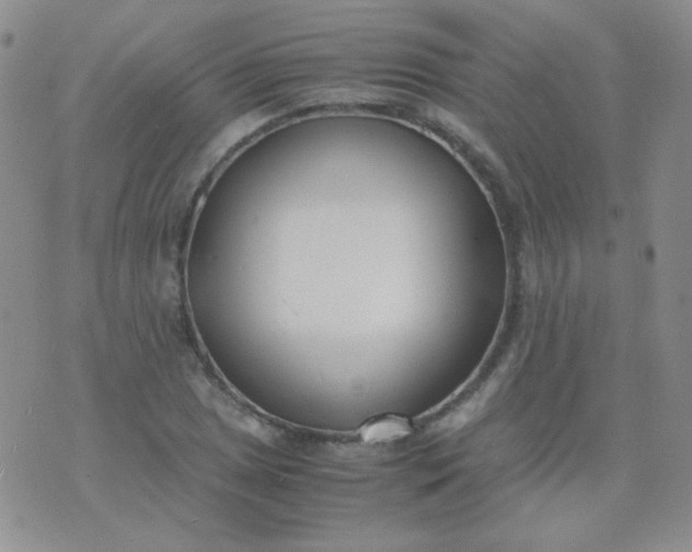 X0000070431025200606231913