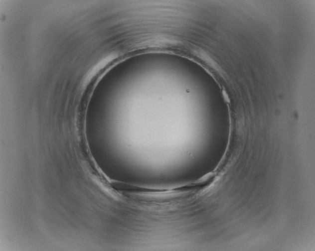 X0000070431026200606231913