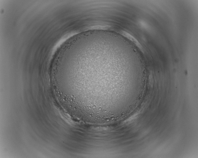 X0000070431027200606231913