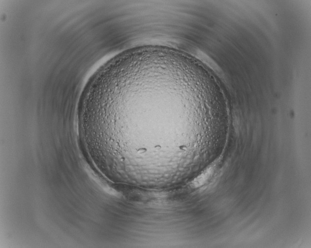 X0000070431028200606231913