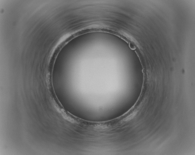 X0000070431029200606231913