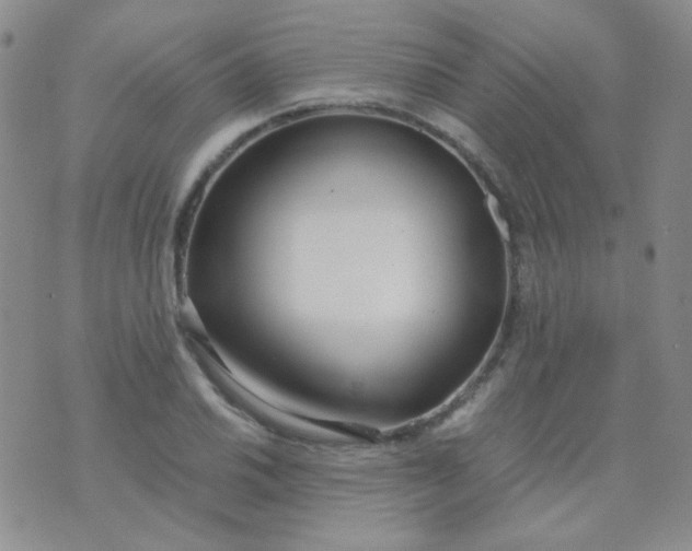 X0000070431030200606231913