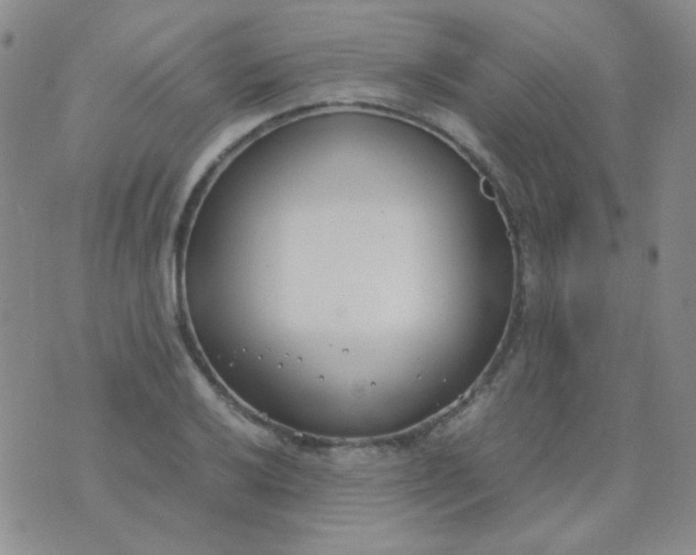 X0000070431032200606231913