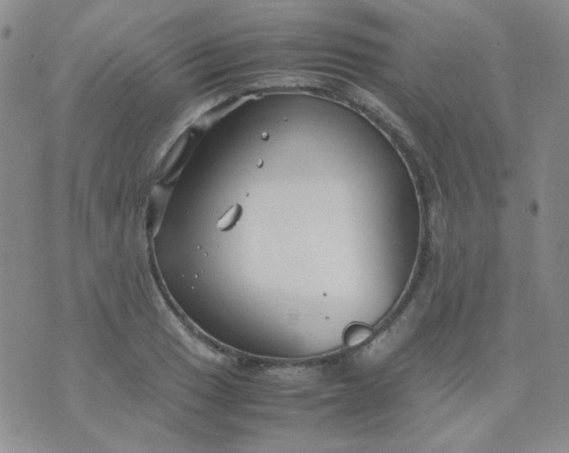 X0000070431033200606231913