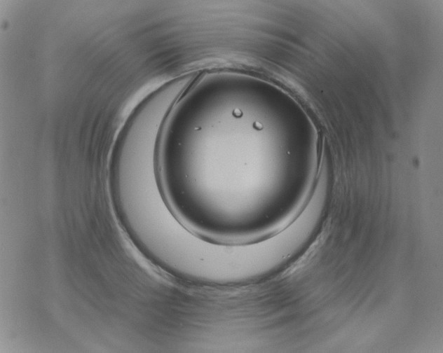 X0000070431034200606231913