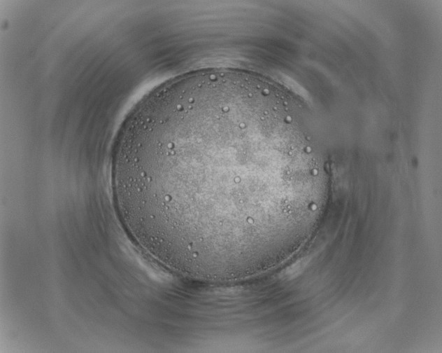 X0000070431035200606231913