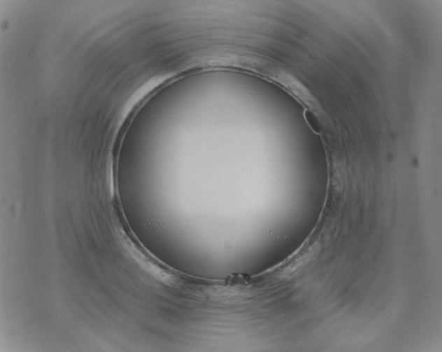 X0000070431036200606231913