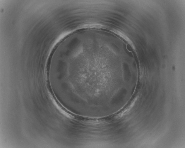 X0000070431037200606231913