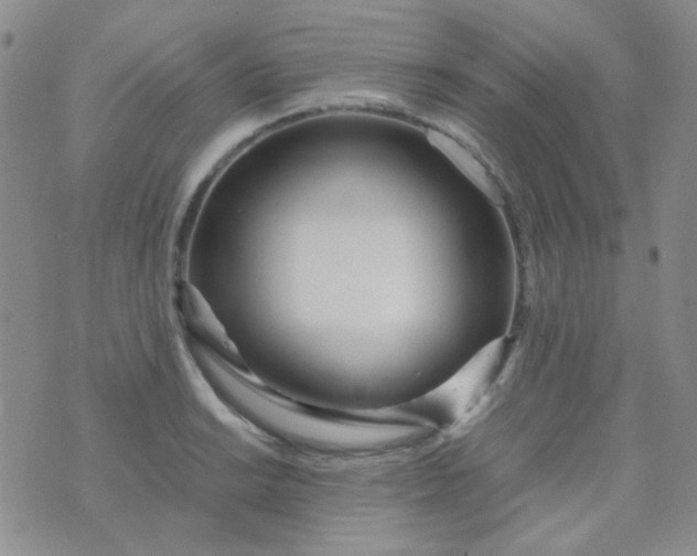 X0000070431038200606231913