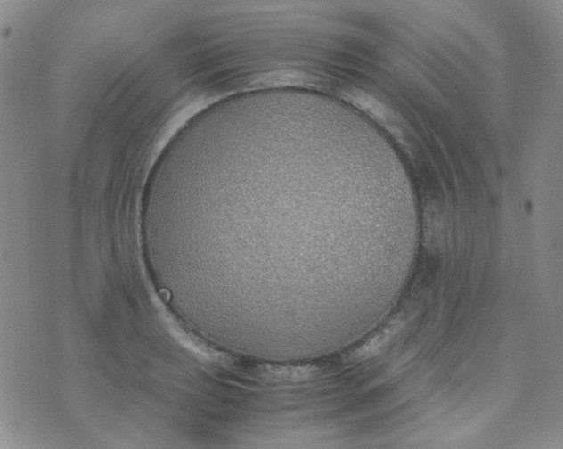 X0000070431039200606231913