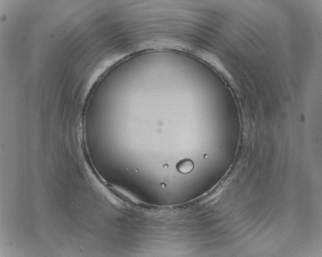 X0000070431040200606231913